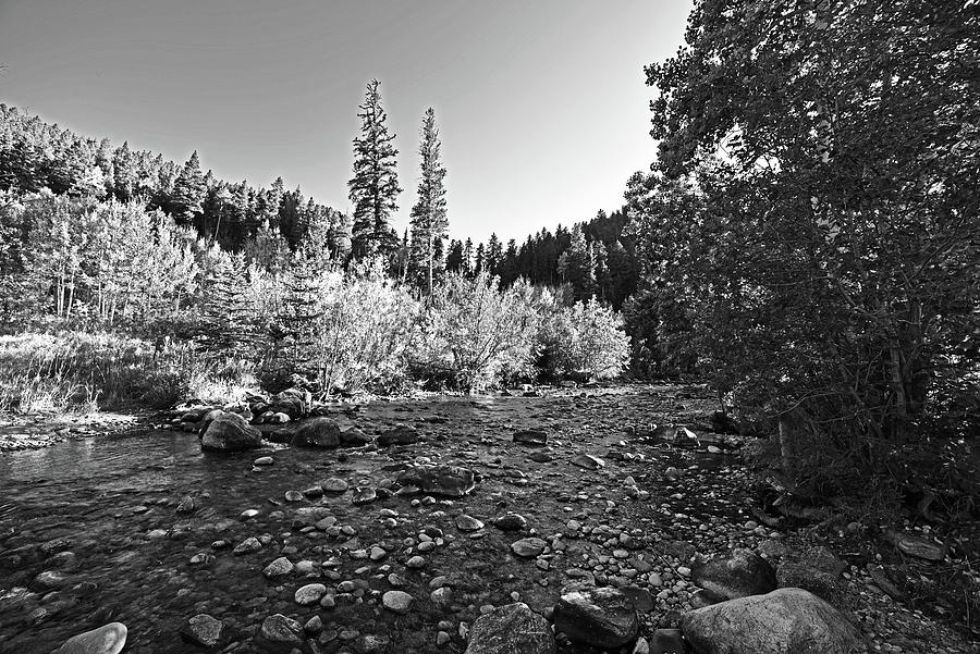 Boulder Colorado Canyon Creek Fall Foliage Black and White Photograph by Toby McGuire