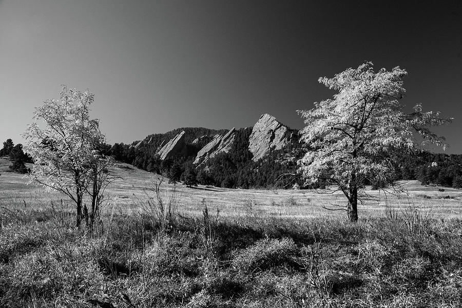 Boulder Colorado in Black and White Photograph by James BO Insogna