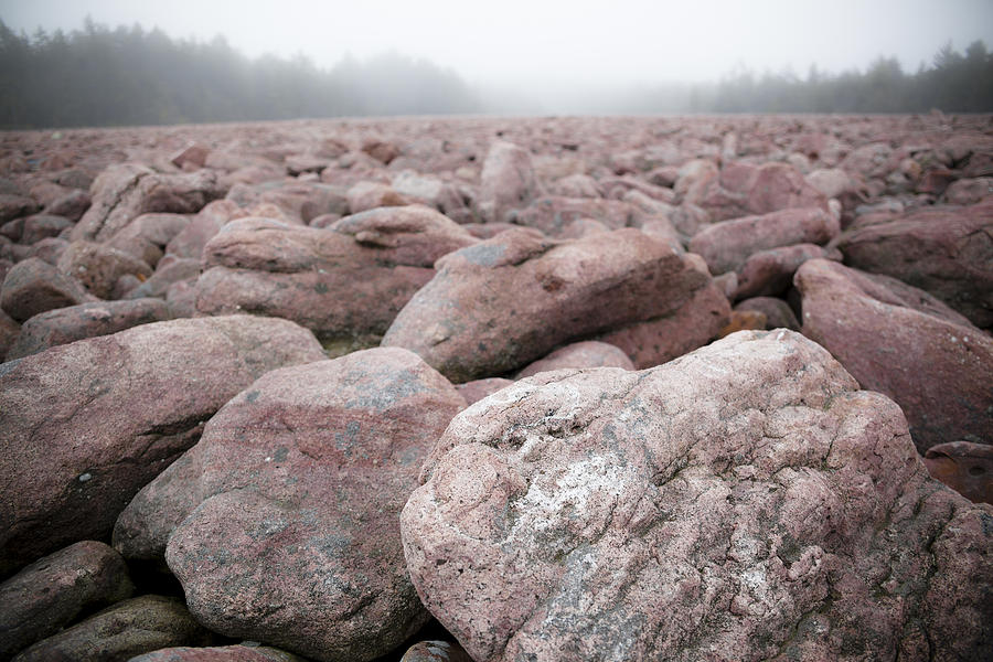 Boulder Field, natural phenomenon in Pennsylvania Hickory Run State Park Photograph by Alex Potemkin