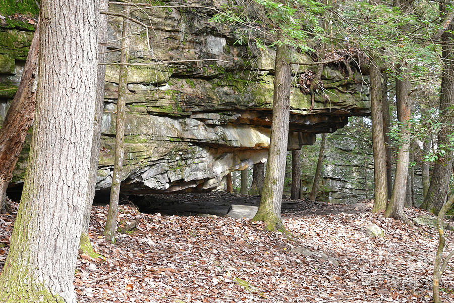 Boulder Fields Photograph by Phil Perkins