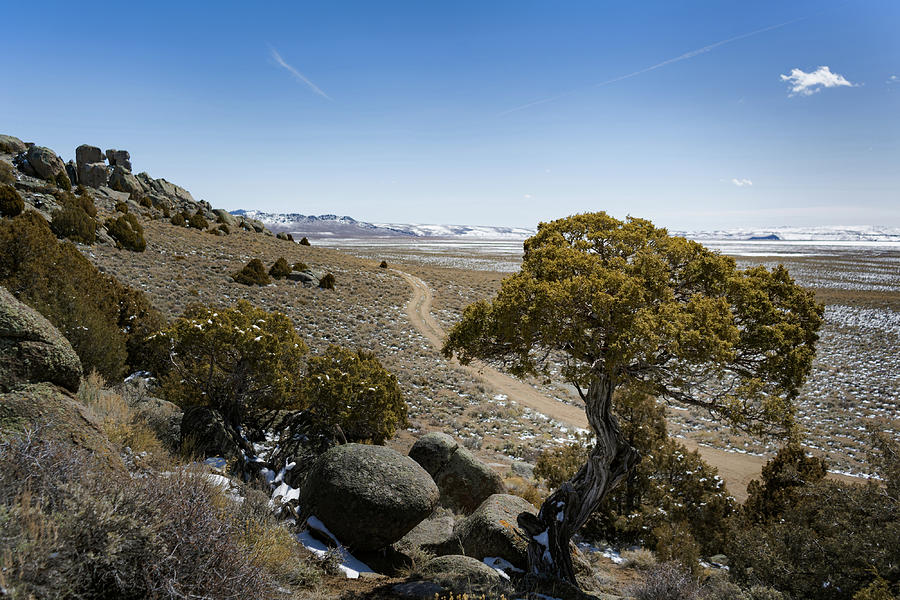 Boulder hike Wyoming Photograph by Julieta Belmont Pixels