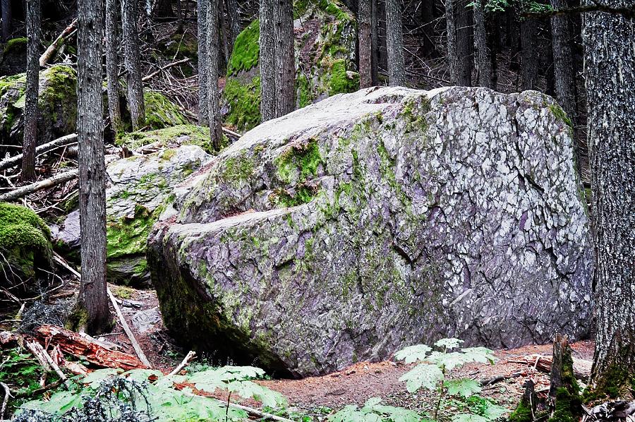 Glacier National Park Photograph - Boulder on the Trail by Marty Koch