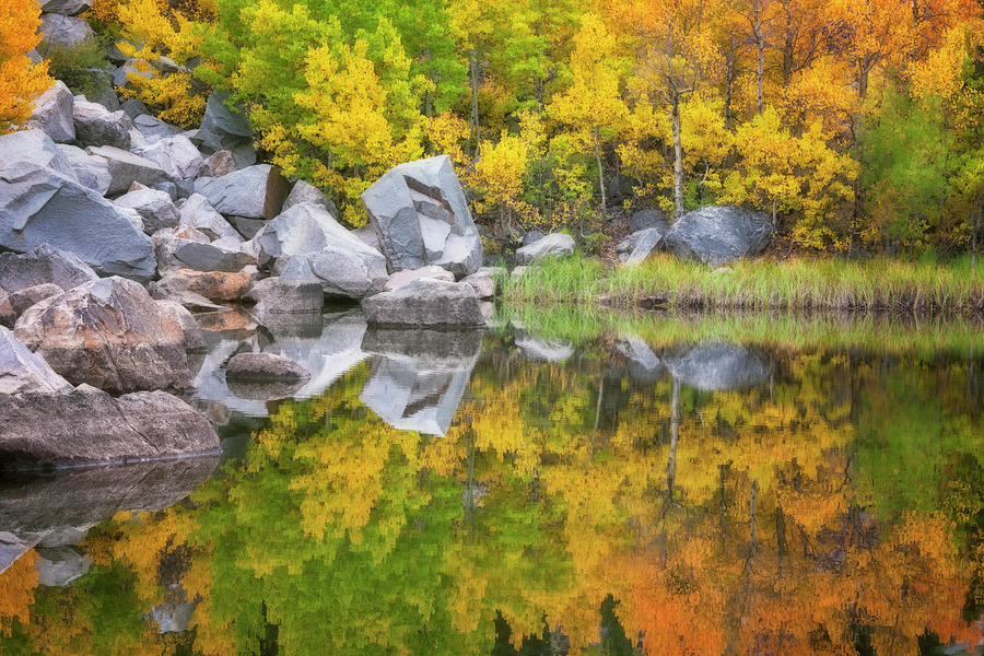 Tree Photograph - Boulders and autumn changing aspen reflect into Cardinal Pond. by Larry Geddis