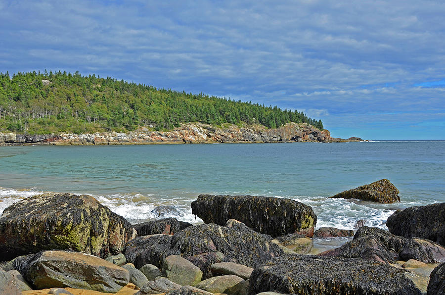 Boulders And Seaweed At Sand Beach Photograph