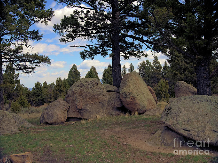 Boulders and Trees Photograph by Kae Cheatham