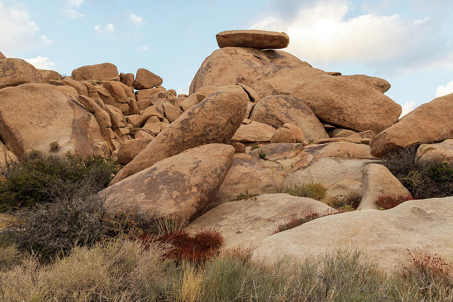 Boulders in Joshua Tree National Park Photograph by Amelia Pearn