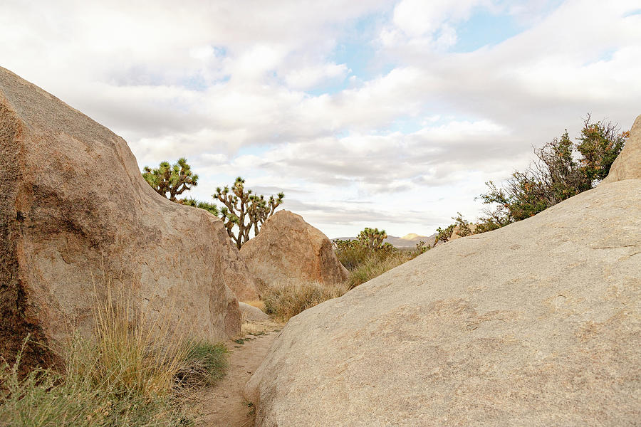 Boulders in Joshua Tree National Park California Photograph by Amelia Pearn