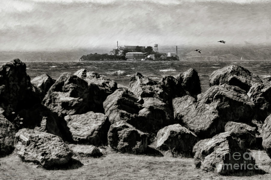 Boulders Seagulls And The Alcatraz Island Black And White Photograph by Blake Richards