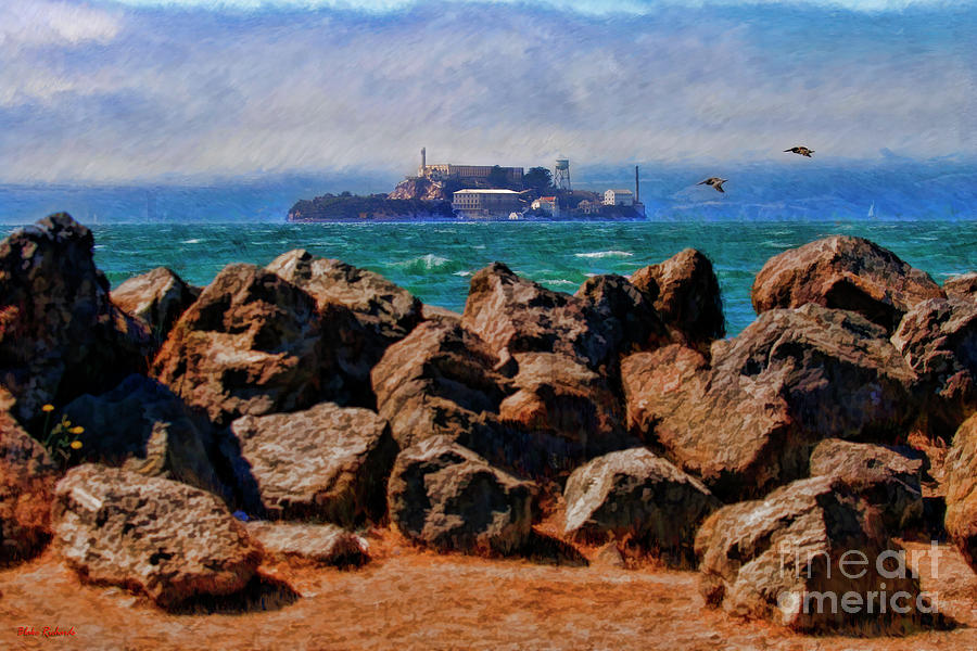 Boulders Seagulls And The Alcatraz Island Photograph by Blake Richards