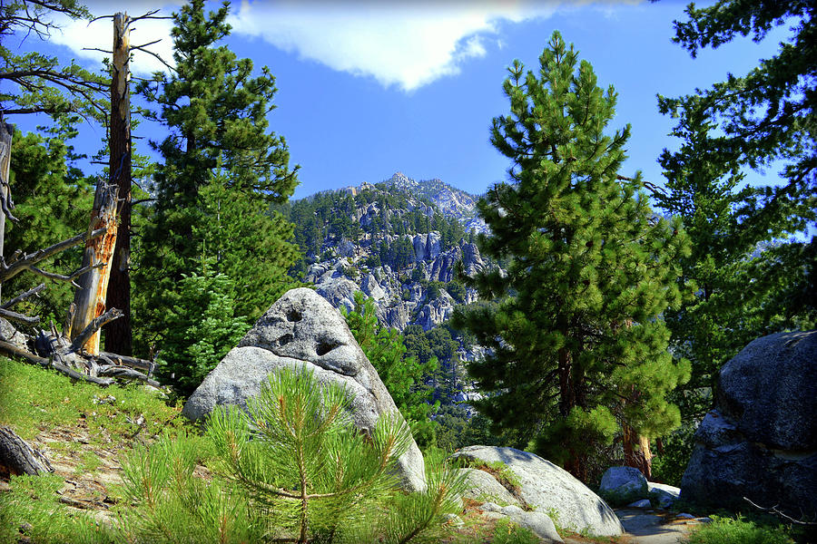 Boulders To Peak - San Jacinto Mountains Photograph