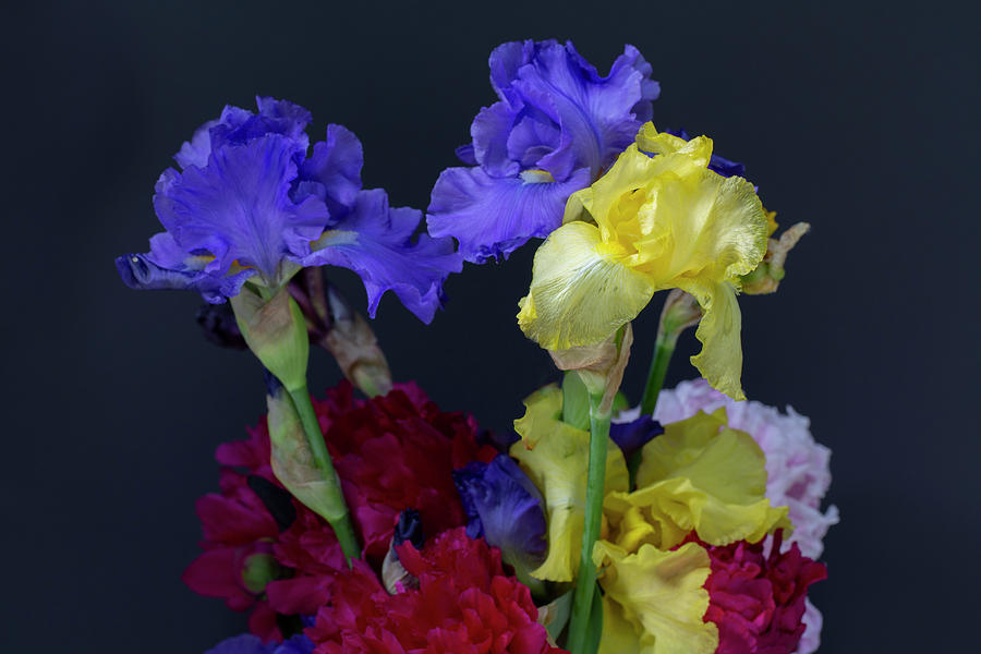 Bouquet of Irises Digital Art by Phil Dyer