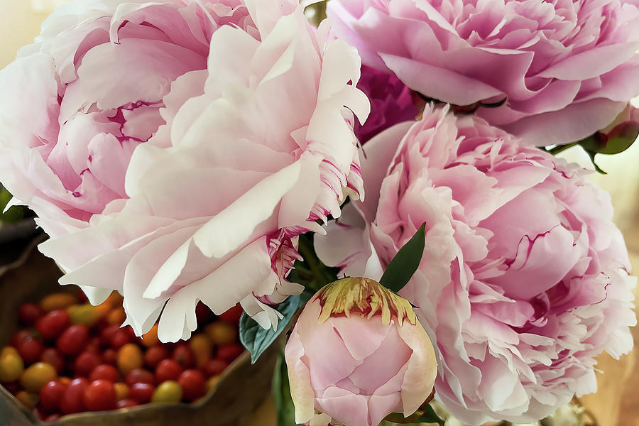 Bouquet of Peonies and Cherry Tomatoes Photograph by Peggy Collins