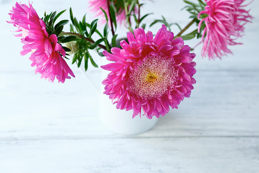 Bouquet of pink asters Photograph by Olha_Afanasieva