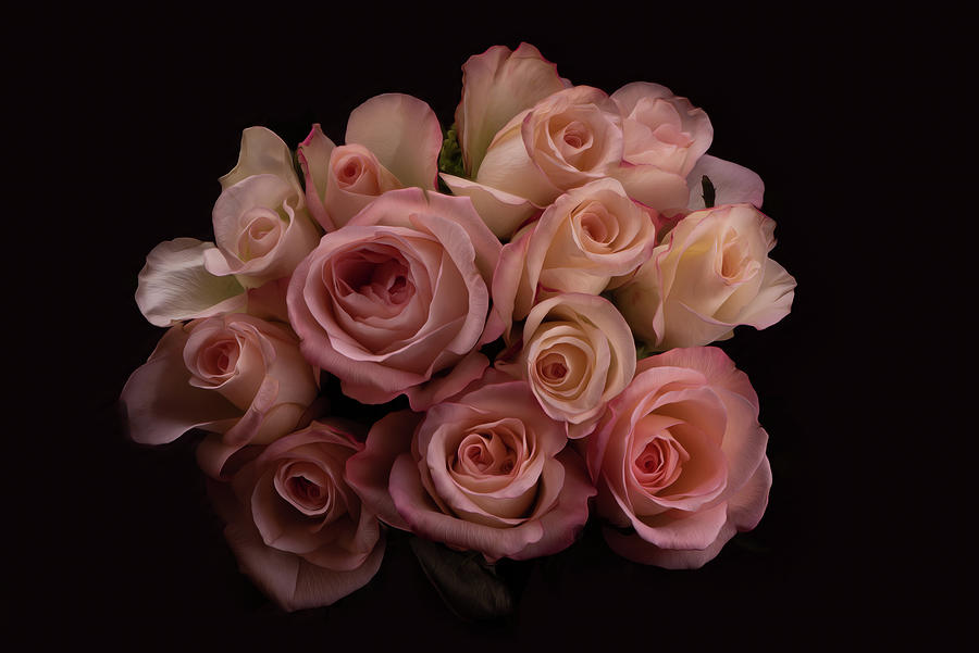 Bouquet of pink roses Photograph by Naomi Maya