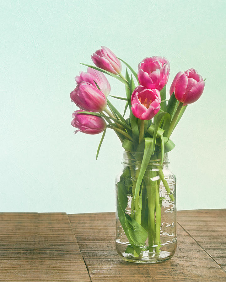 Bouquet of pink tulips in a mason jar Photograph by John Trax
