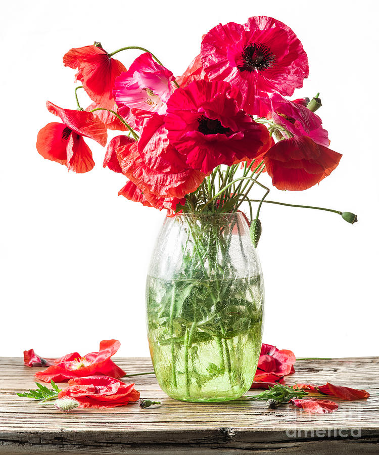 Bouquet of poppy flowers in the vase on the wooden table. Photograph by Boon Mee