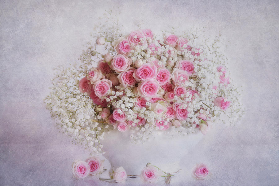 Vintage Photograph - Bouquet of roses by Claudia Moeckel