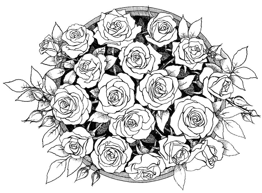 Rose bouquet. Vintage card. | Flower line drawings, Rose line art, Roses  drawing