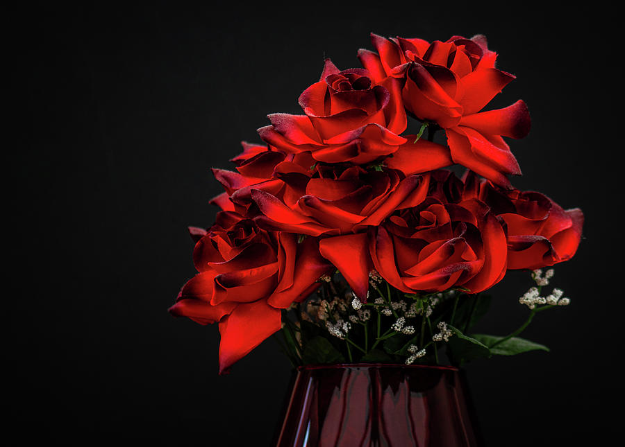 Rose Photograph - Bouquet of Roses by Stephen Jenkins
