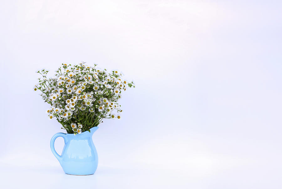 Daisy Photograph - Bouquet of small white daisy flowers in a blue ceramic vase by Olga Strogonova