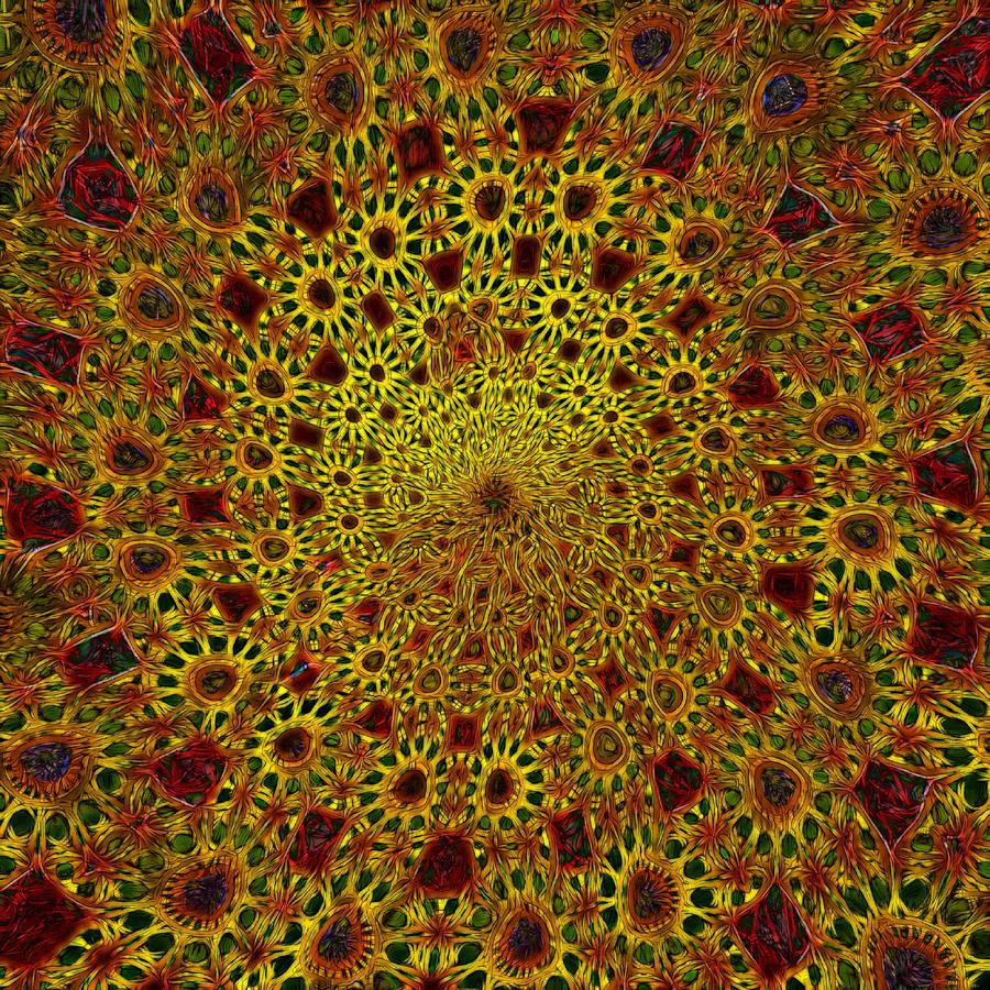 Bouquet Digital Art - Bouquet of Suns by Nick Heap
