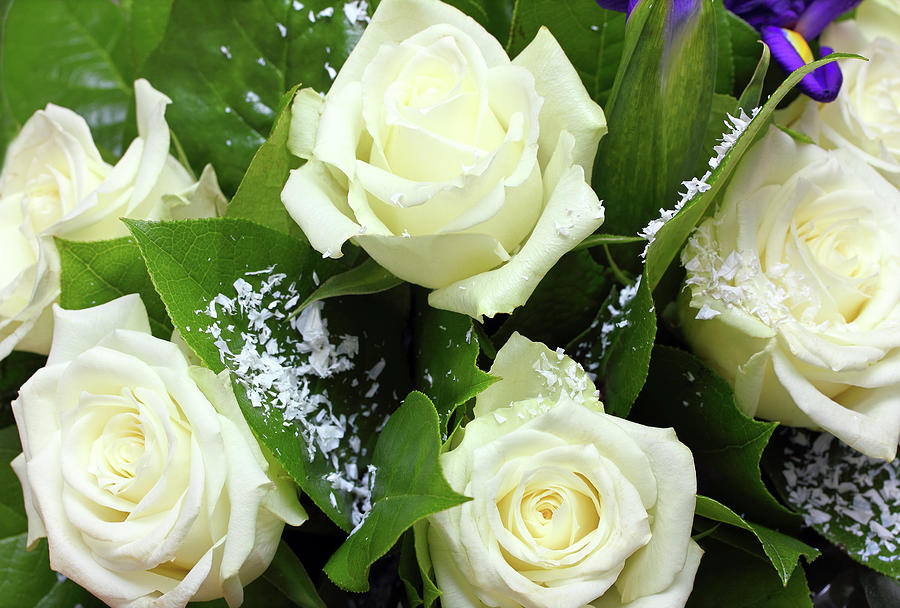 Bouquet Of White Roses Photograph by Mikhail Kokhanchikov