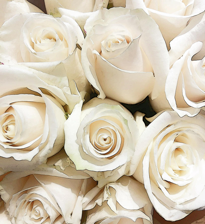 Bouquet Of White Roses Stylized Photograph