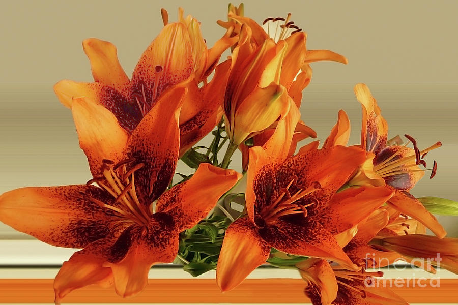 Flower Photograph - Bouquet Orange by Jasna Dragun