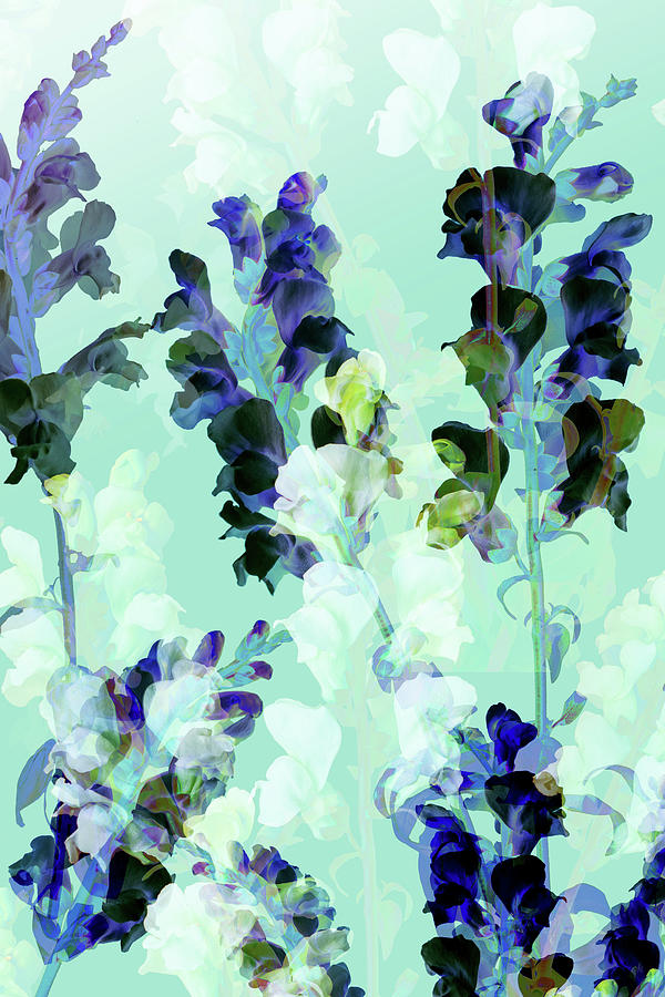 Flower Digital Art - Bouquet VI by Lloyd Arbour