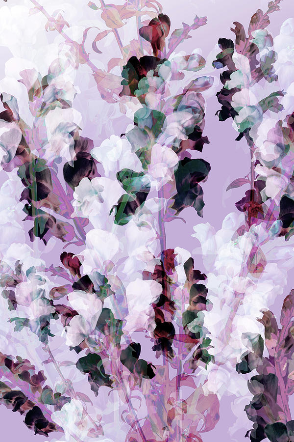 Flower Digital Art - Bouquet XI by Lloyd Arbour
