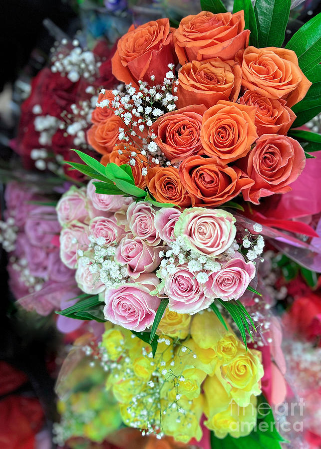 Bouquets of roses  Photograph by Janice Drew