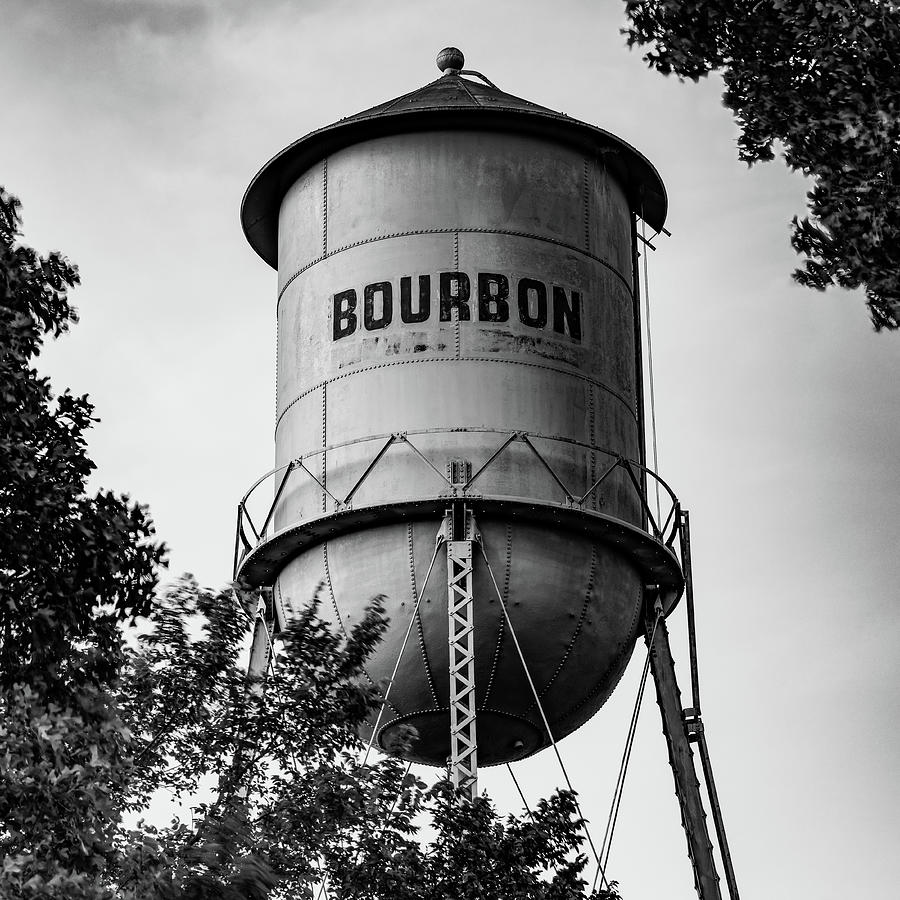Bourbon Tower Bordered By Leaves - Black and White Photograph by Gregory Ballos
