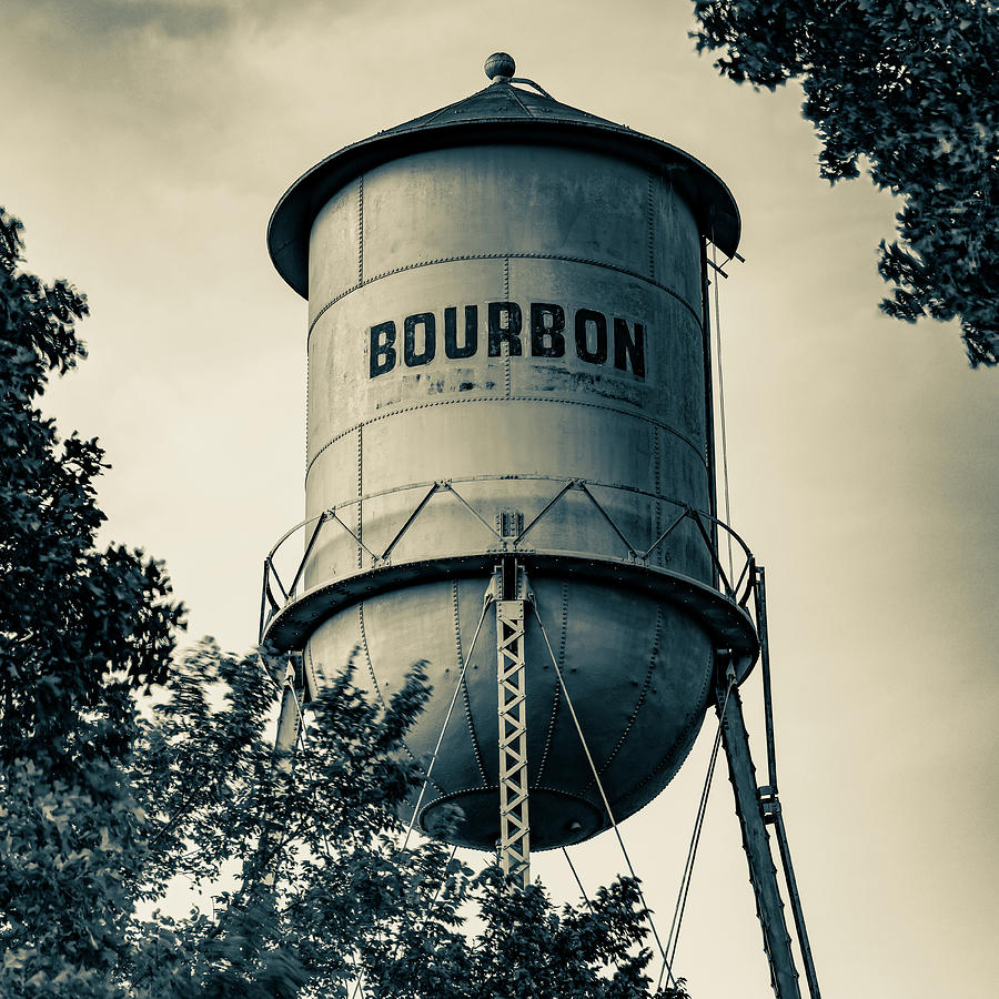 Bourbon Tower Bordered By Leaves In Sepia Photograph by Gregory Ballos