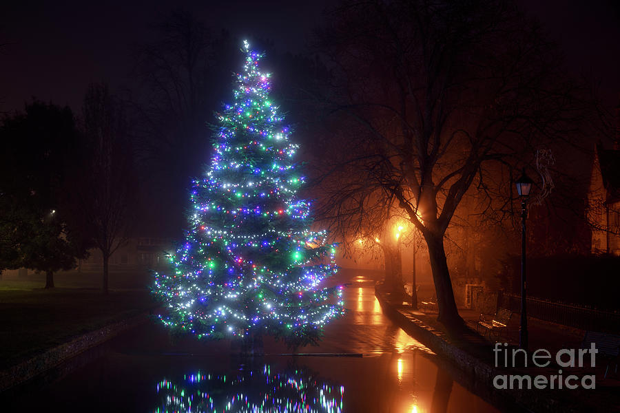 Bourton on the Water Christmas Tree in the Fog Photograph by Tim Gainey