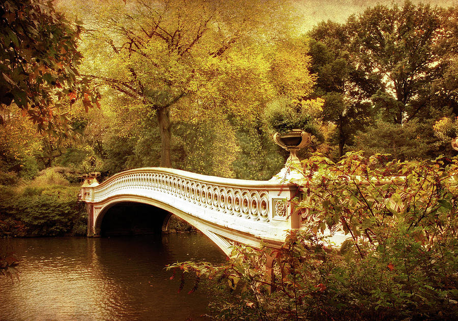 Bow Bridge Autumn Gold Photograph by Jessica Jenney