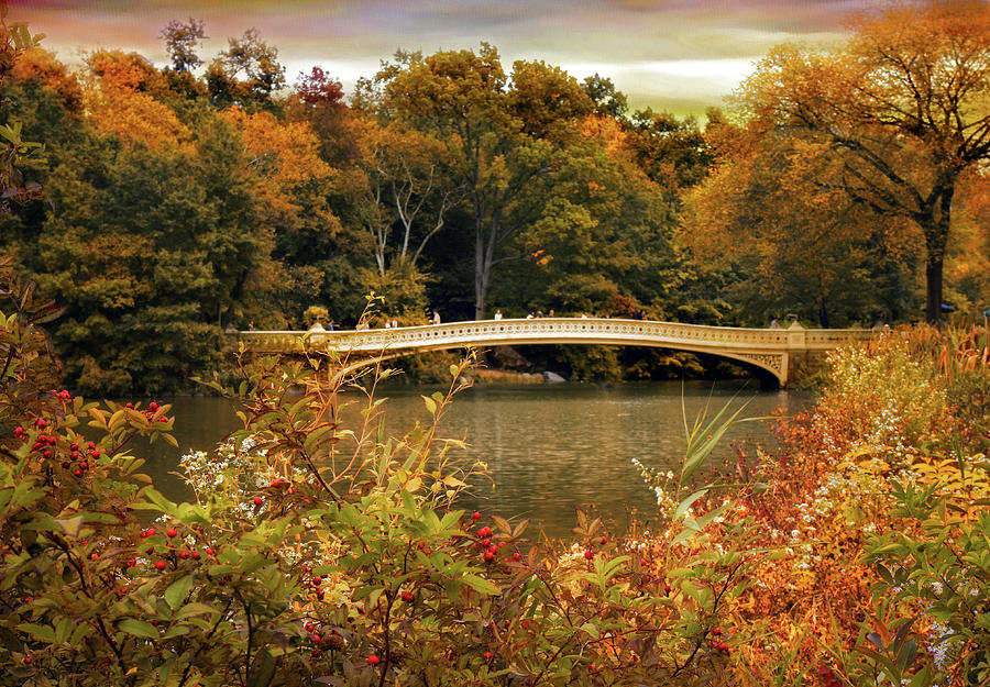 Bow Bridge Autumnal Tones  Photograph by Jessica Jenney