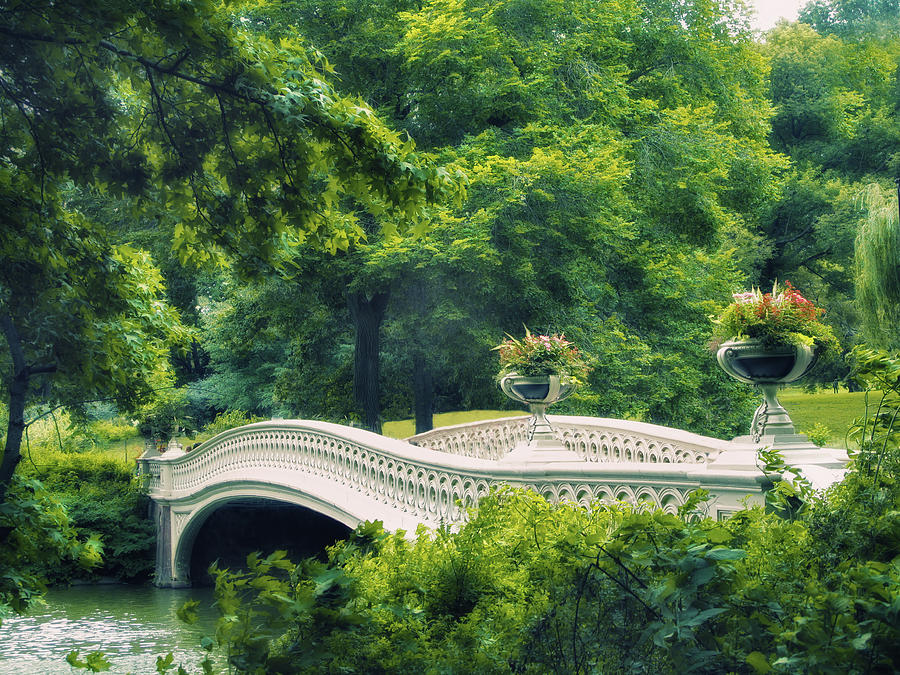 Bow Bridge in Summer Photograph by Jessica Jenney