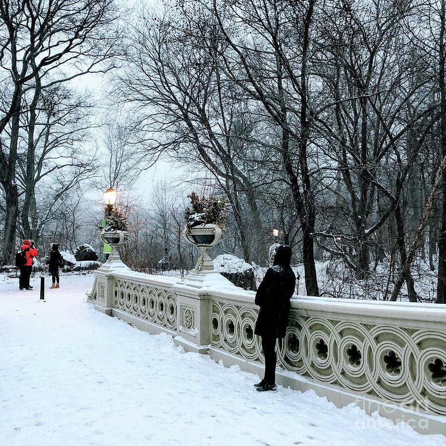 Bow Bridge in Winter Photograph by Miriam Danar
