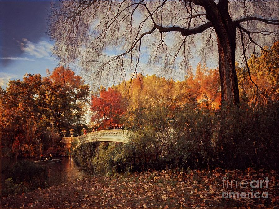 Bow Bridge - The Gold of Autumn Photograph by Miriam Danar