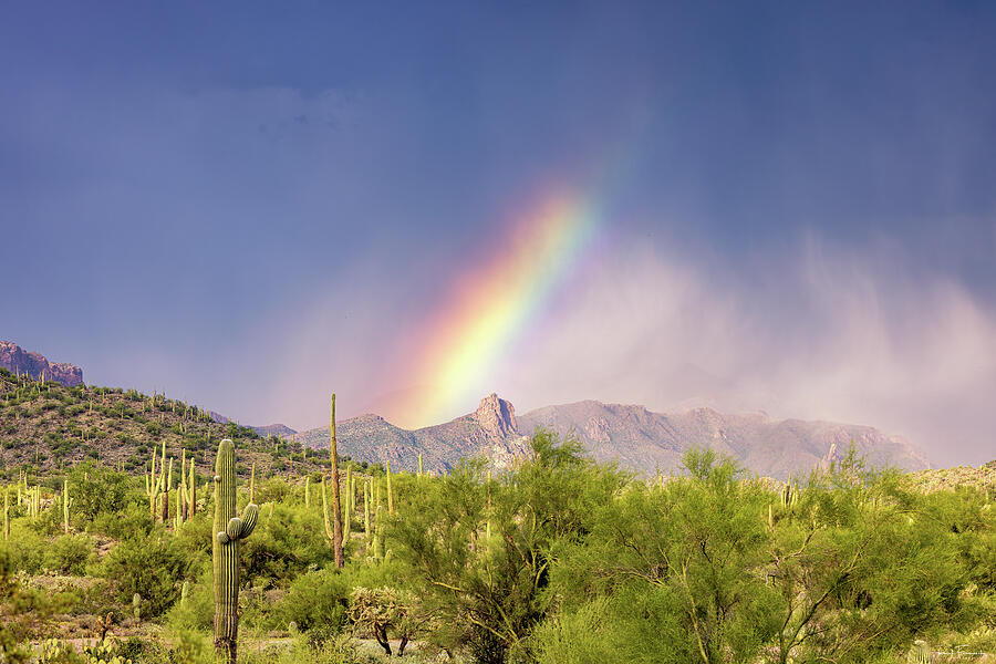 Bow in the Superstitions Photograph by Rick Furmanek