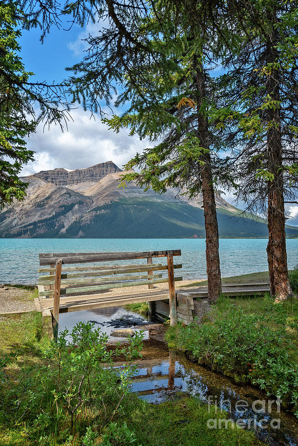 Bow lake, Banff National Park Photograph by Delphimages Photo Creations