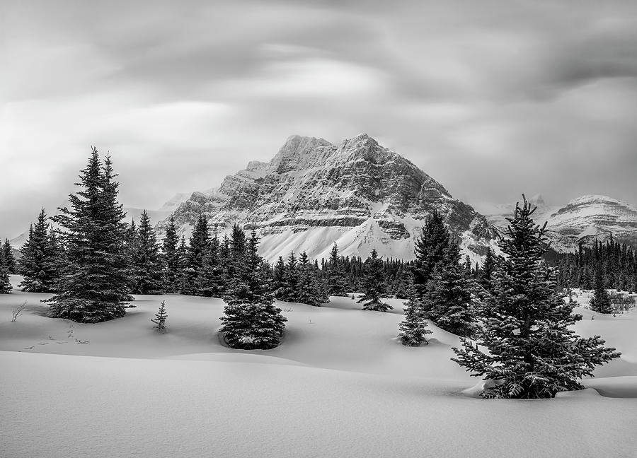 Bow Lake, Icefields Parkway, Banff National Park Winter Photography Print Photograph by Yves Gagnon
