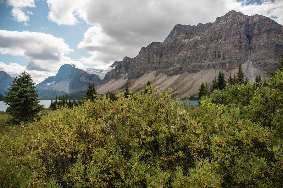 Bow Lake by Kristopher Schoenleber Bow Lake by Kristopher Schoenleber