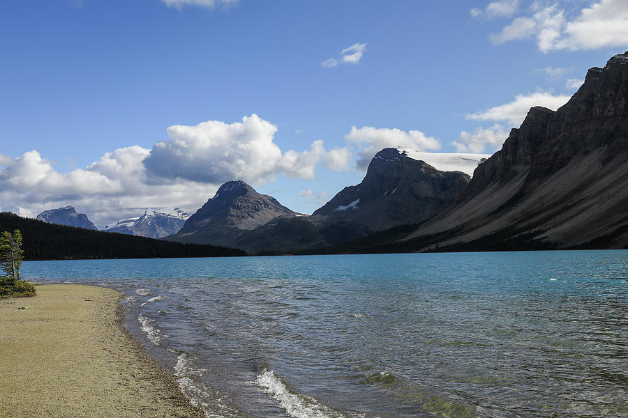 Bow Lake Shoreline Canadian Rockies Photograph by Dan Sproul