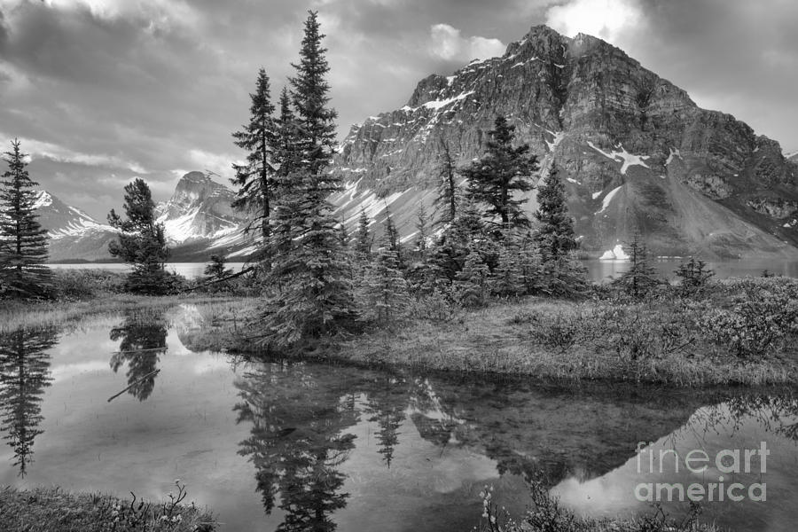 Bow Lake Spring Reflections Black And White Photograph by Adam Jewell