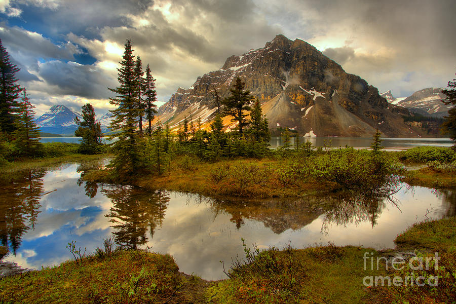 Bow Lake Wetlands Reflections Photograph by Adam Jewell