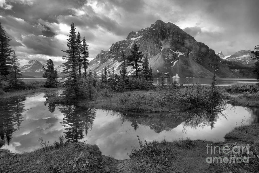 Bow Lake Wetlands Reflections Black And White Photograph by Adam Jewell
