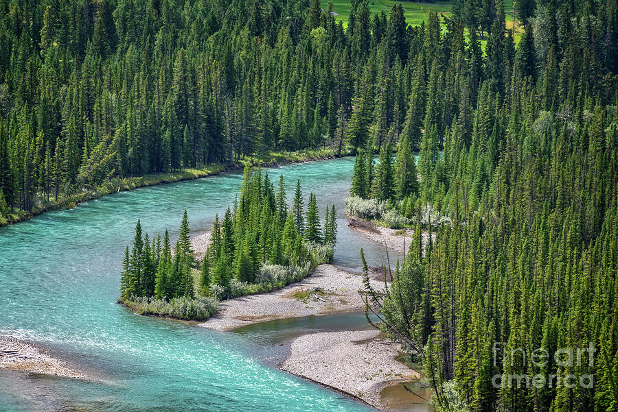 Bow river, Banff National Park Photograph by Delphimages Photo Creations