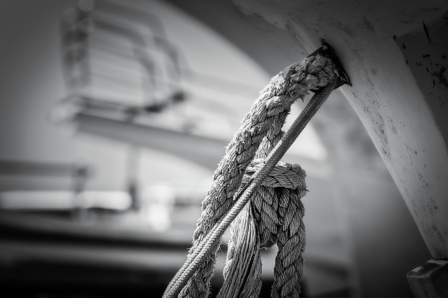Bow Ropes Photograph by Bill Chizek