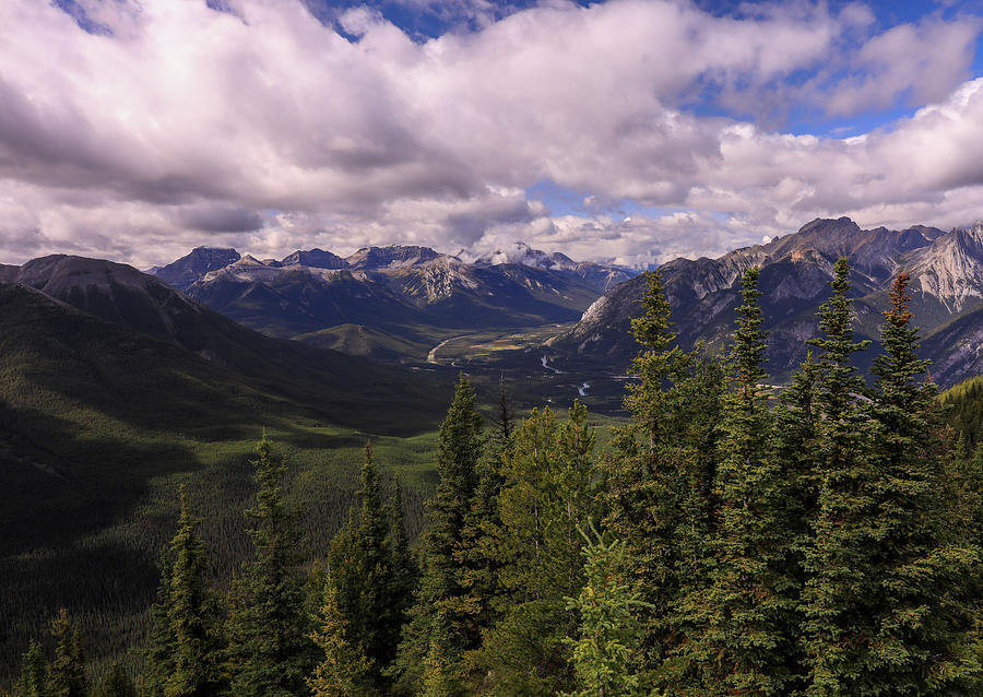 Bow Valley Canada Landscape Photograph by Dan Sproul